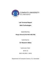 Lab Terminal Report (FA19-BCS-087)
