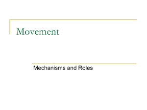 Biology-Movement Notes
