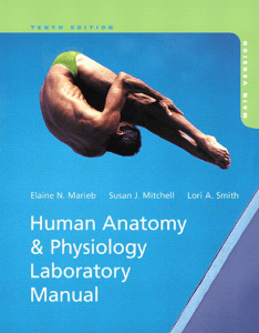 human-anatomy-physiology-laboratory-manual-main-version-10th-edition compress