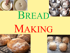 Bread Processing Technology