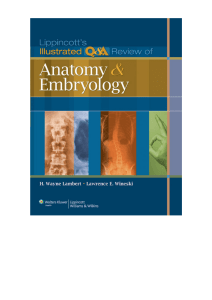 Lambert, Harold Wayne Wineski, Lawrence E - Lippincott's illustrated Q & A review of anatomy and embryology-Lippincott Williams & Wilkins Wolters Kluwer Health (2011)