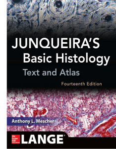 Junqueira's Basic Histology Text and Atlas, 14th Edition