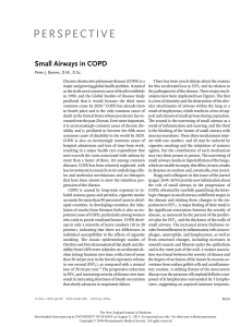 Small airways in COPD