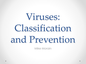Viruses-Morain