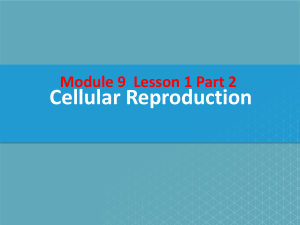 W 2 . Gr 11 bio. Module 9 lesson 1 - Part 2  Cellular reproduction & Module 9 lesson 2 Part 1Meiosis & sexual reproduction 