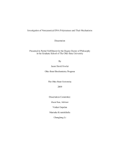 Investigation of Noncanonical DNA Polymerases and Their Mechanisms - 2009 Doctoral Thesis - Fowler