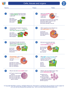 worksheet-science-grade-5-cells-tissues-and-organs-0