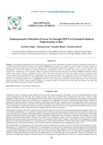 nephroprotective-potentials-of-green-tea-through-mptp-in-gentamicin-induced-nephrotoxicity-in-rats
