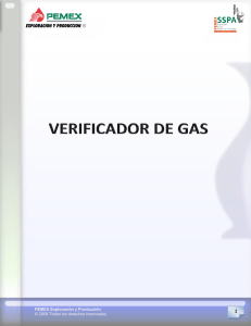 242206063-Manual-Verificador-de-gas-2010-pdf