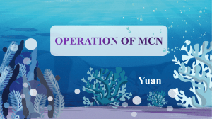 MCN-yuan