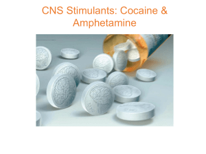 6 - Cocaine & Amphetamines (1)