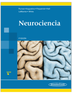 Neurociencia Purves 5ta Edición