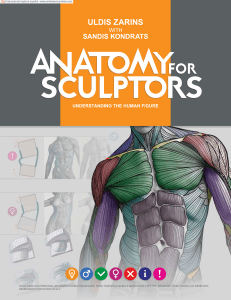Copia de Anatomy For Sculptors - Español