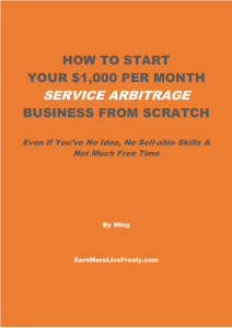How to start your 1000 per month service