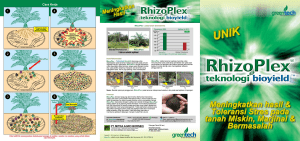 Rhizoplex Oil Palm Brochure (BM) (Mitra Agro-Borneo) 3-11-2016