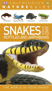 Nature Guide; Snakes and other Reptiles and Amphibians – The World in your Hands - DK Publishing-Smithsonian ( PDFDrive.com )