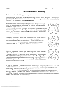 11 nondisjunction reading