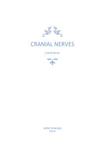 Neuroanatomy- Cranial Nerves