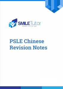 PSLE Chinese Revision Note