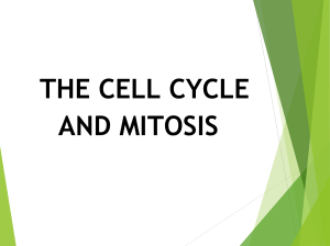 5.-Cell-Cycle-and-Mitosis