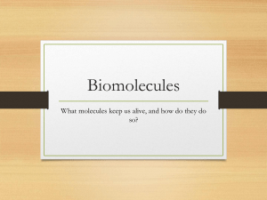 Biomolecules-Students-Copy