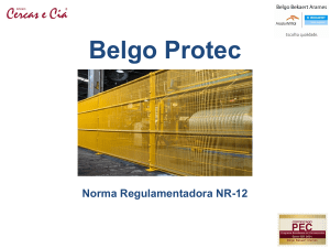 PPT NR12 BELGO