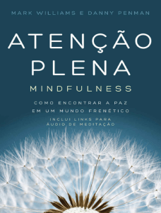 Mindfulness - Atencao Plena - Mark Williams
