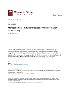 Management and Production Practices of the Missouri Beef Cattle Industry