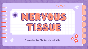 4- Nervous Tissue