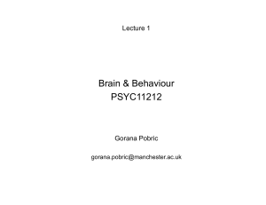 Lecture 1 - Introduction