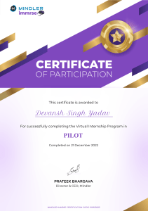 certificate 6796773222 pilot