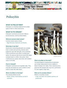DEA Psilocybin Information