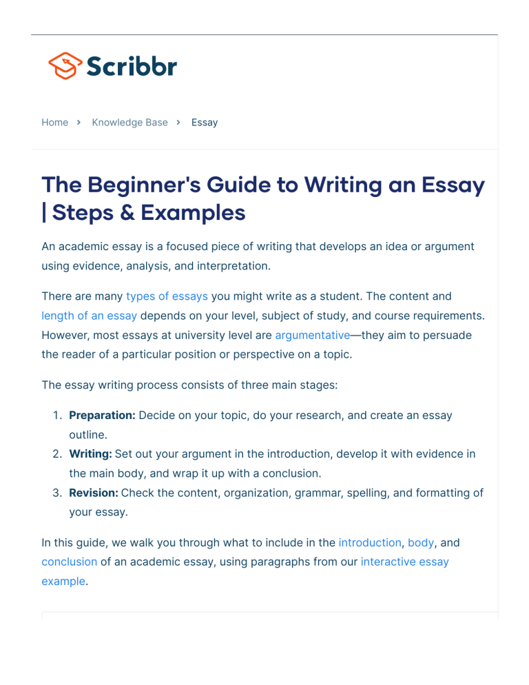 beginner essay writing examples