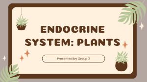 Group-2-Plant-Endocrine-System