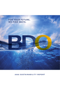 BDO 2022 Sustainability Report