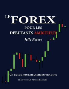 Le-Forex-pour-les-débutants-ambitieux-Jelle-Peters (1).jpeg