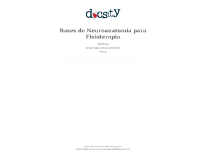 docsity-bases-de-neuroanatomia-para-fisioterapia
