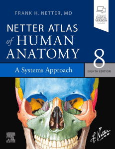 Netter Atlas of Human Anatomy  A Systems Approach  paperback eBook Frank H. Netter MD