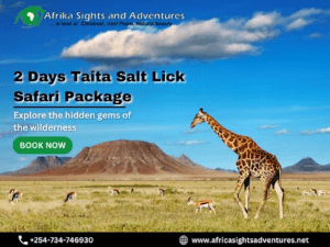 Book a Quality Taita Salt Lick Safari Package