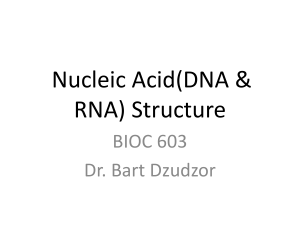 DNA Structure-BIOC 603