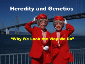 Heredity and Genetics PowerPoint