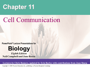 11 Lecture Presentation (1)