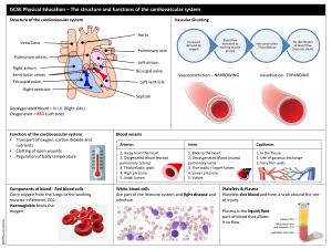 Knowledge-Organiser-GCSE-PE-Cardiovascular-System