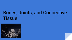 bones,%20joints,%20and%20connective%20tissue.pdf