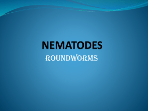 Nematodes-Cestodes-trematodes