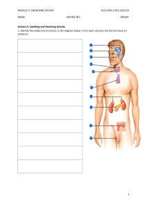 A222 MODULE 3 ENDOCRINE SYSTEM