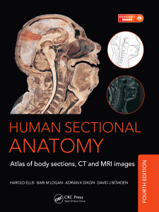 Human sectional anatomy atlas of body sections, CT and MRI images 4ed (1) (1)