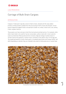 bulk grain cargoes