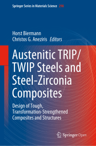 [Springer Series in Materials Science 298] Horst Biermann, Christos G. Aneziris - Austenitic TRIP TWIP Steels and Steel-Zirconia Composites  Design of Tough, Transformation-Strengthened Composites and Structures (202