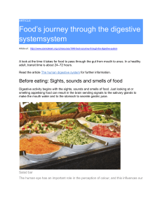 06 Food Transit in Digestive System Article.docx